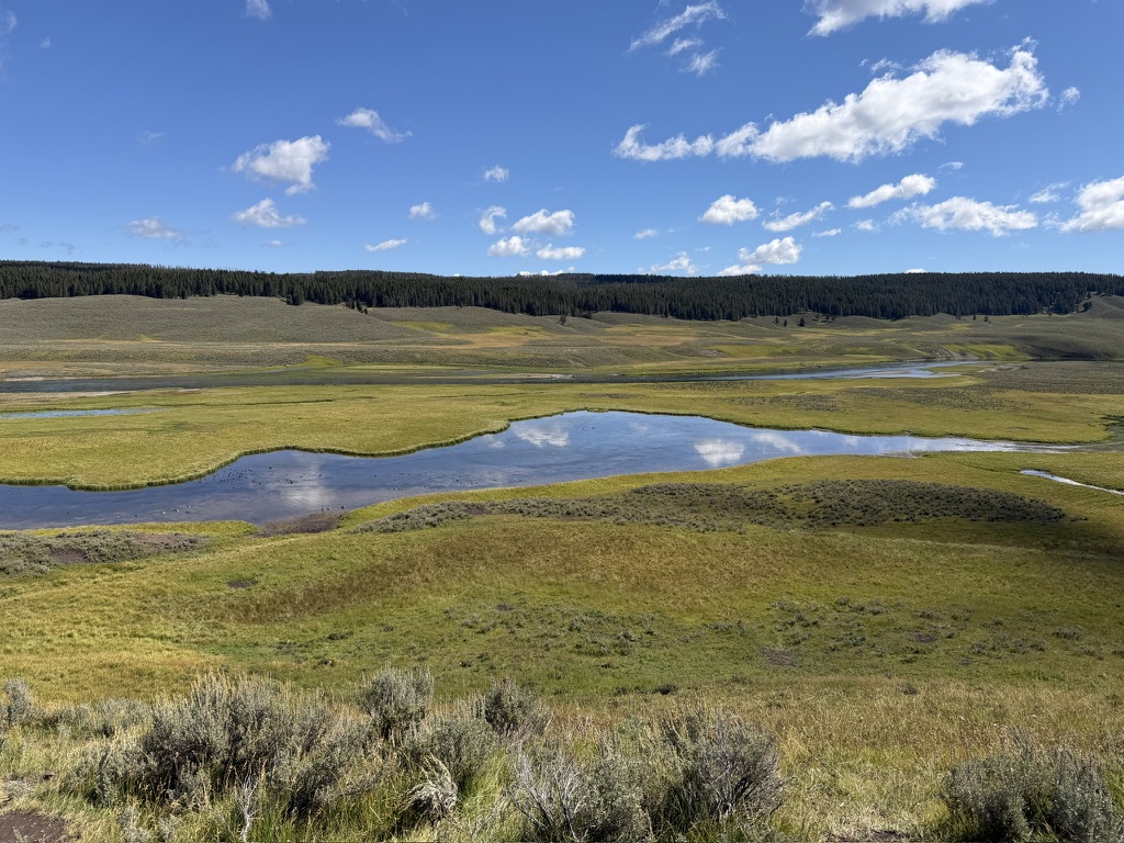 Winding water crosses a broad meadow beneath a blue sky.