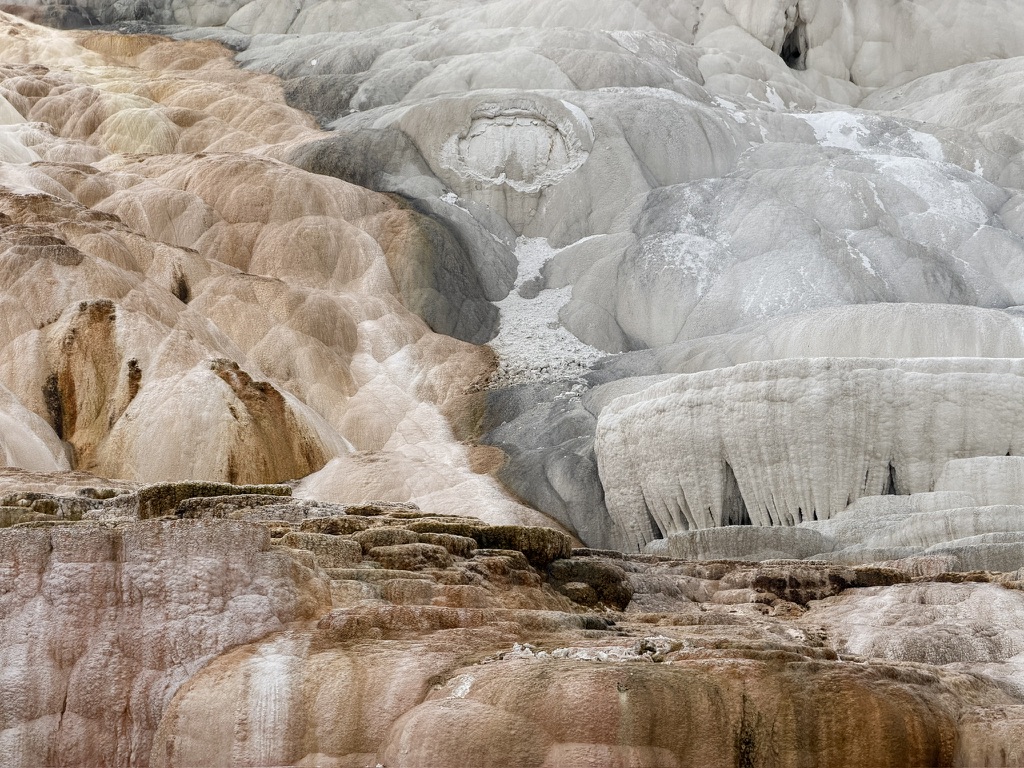 Terraced mineral formations with flowing water in Yellowstone.