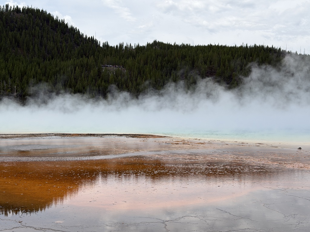Steam rises from a geothermal pool with forest beyond.